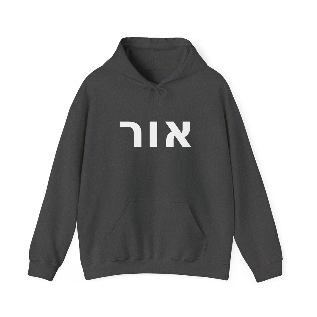 OR (Light of God) Christian Hoodie