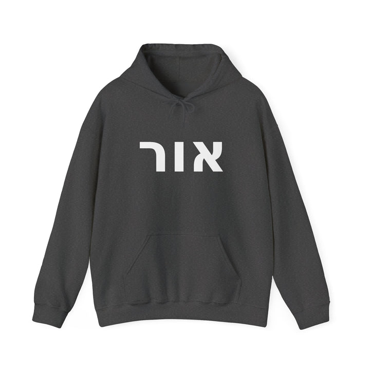 OR (Light of God) Christian Hoodie