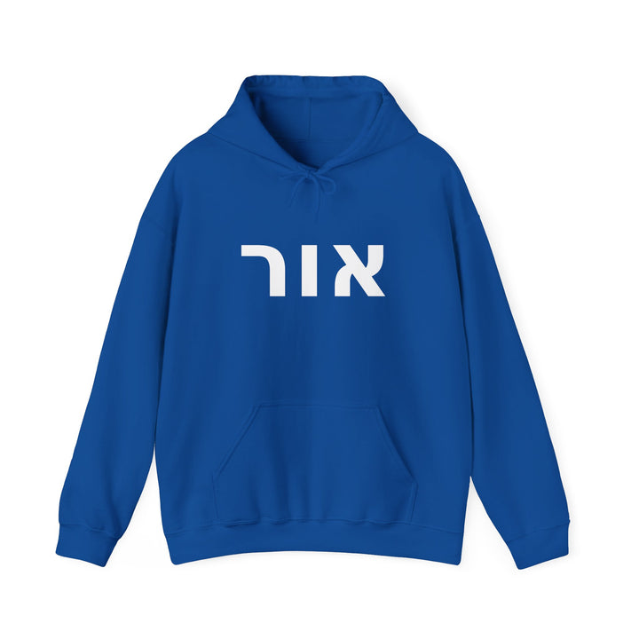 OR (Light of God) Christian Hoodie